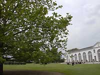 The Orangery Restaurant /D200