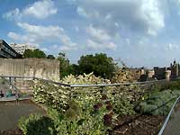 Tower of London & London Wall /S2 Pro