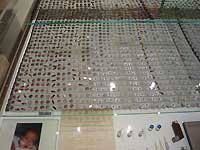 Exhibition of Living and Dying /FX33