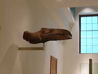 Exhibition of Living and Dying /FX33