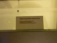 Exhibition of Living and Dying /FX33