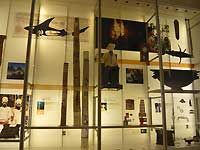 Exhibition of Living and Dying /FX33