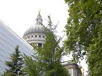 St.Paul's Cathedral /D200