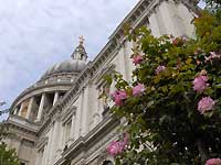 St.Paul's Cathedral /D200