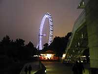 Merry-go-round and London Eye /FX33