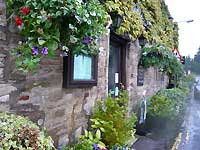 Burford /FX33