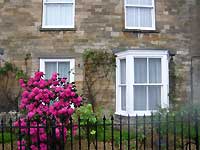 Burford /FX33