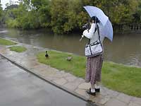 Bourton-on-the-Water /D200