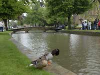 Bourton-on-the-Water /D200