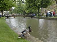 Bourton-on-the-Water /D200