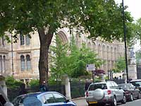 Natural History Museum, South Kensington, London /FX33