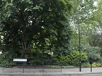 Belgravia, London /D200