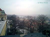 vnȏ猩i